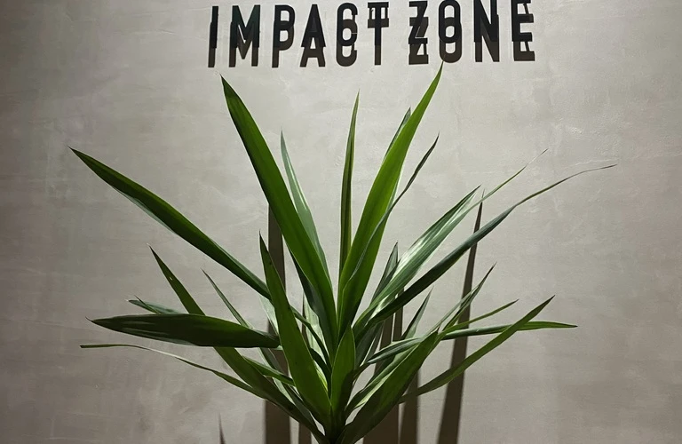 中級者専用！ドライバー上達法！INDOOR GOLF IMPACT ZONE